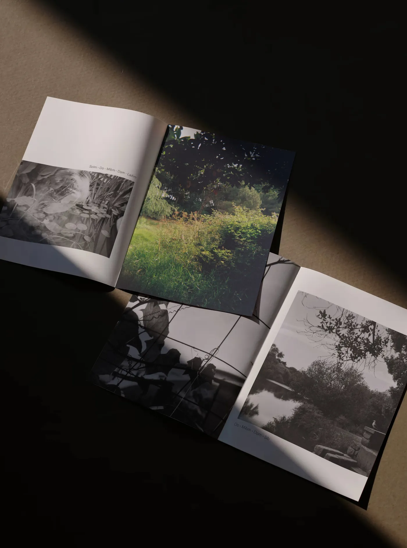 Three copies of the photobook open on a dark table