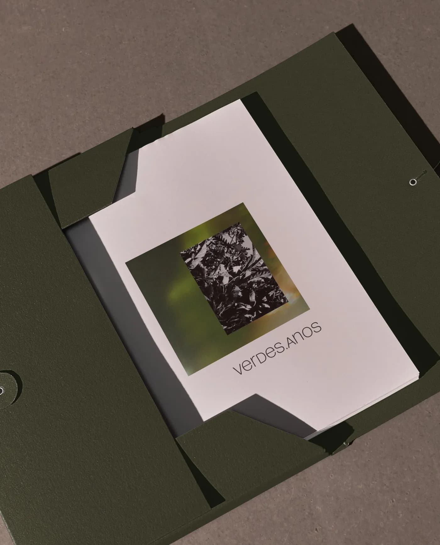 The photobook slipped into its dark green case, tie undone