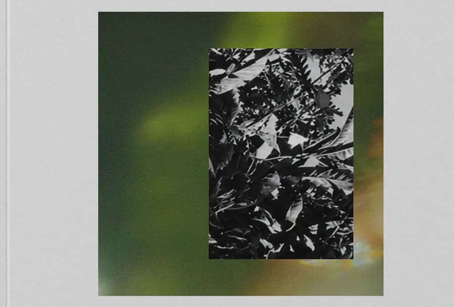 The cover - a black-and-white inset on a blurred green field