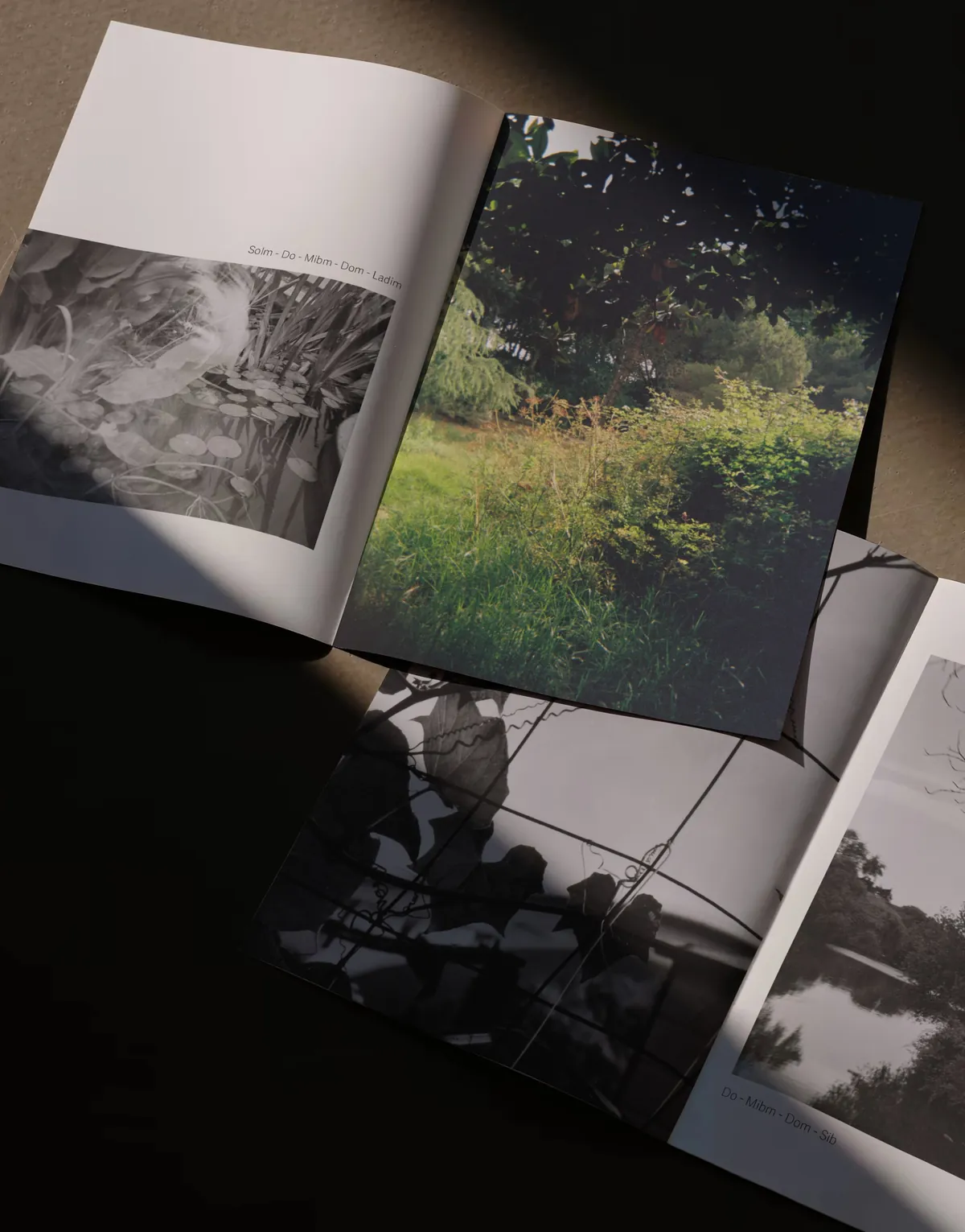 The photobook open on a dark table, raking light across the spreads